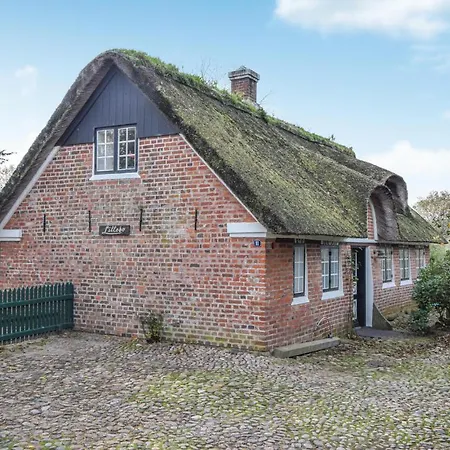 Tatil Evi Pet Friendly In With Kitchen Fanø